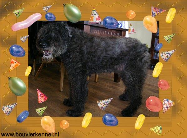 Kirby_14_jaar