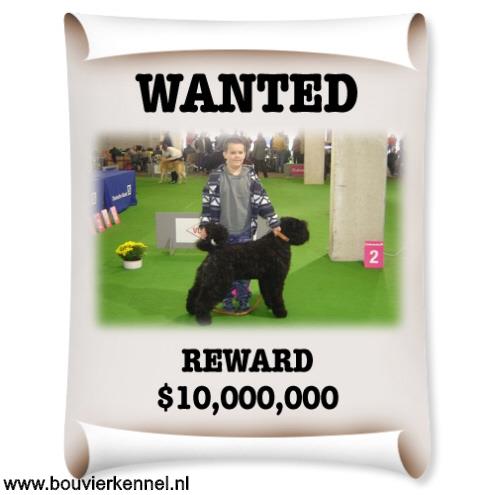 jamie_dortmund
