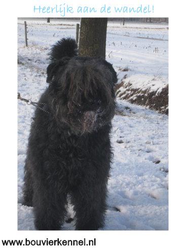 Kay_in_de_sneeuw