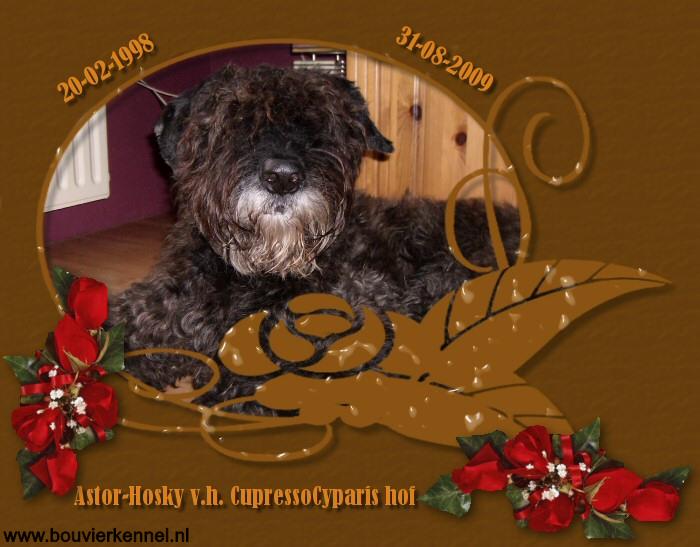 Astor