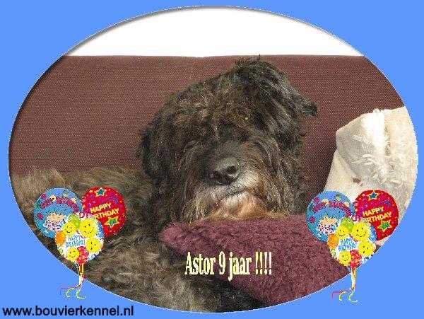 astor1