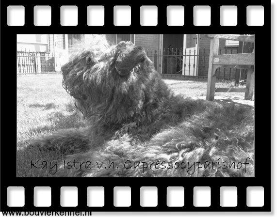 Kay_in_de_tuin