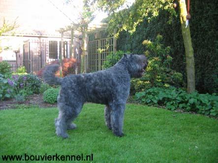 Kay_mooi_sta_07-05-2005