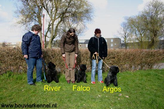groep