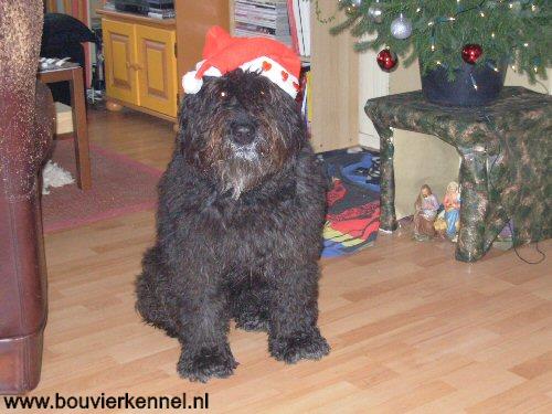 misty_kerst_07