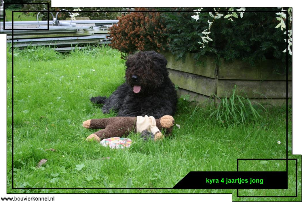 kyra_4_jaartjes_jong