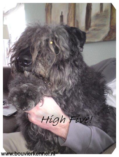 High_five_van_Kay