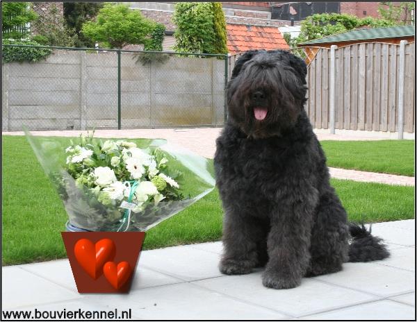 Moederdag