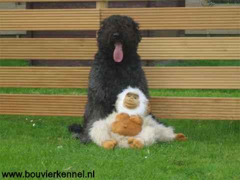 kyra_twee_jaartjes_jong_op_31-08-05
