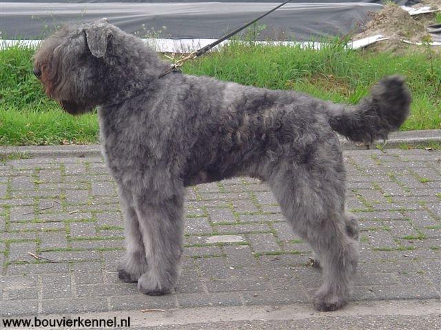 Knippen_13-04-2005