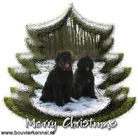 istra_en_dara_kerst