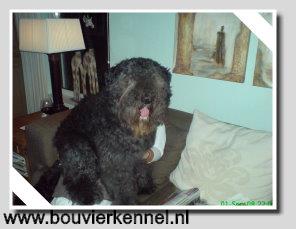 Kay_op_schoot_