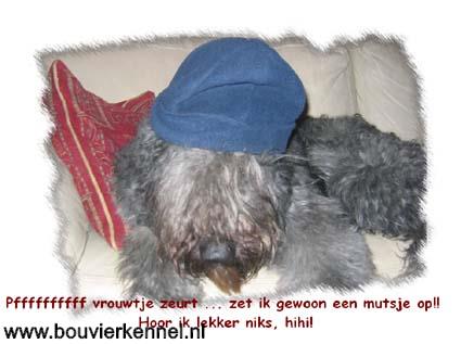 Kay_met_muts