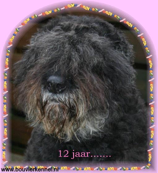 Kirby_12_jaar_1