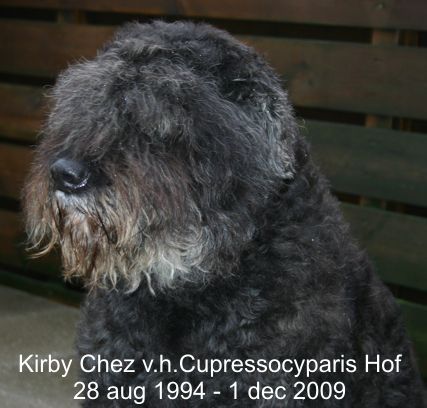 Kirby Istra v.h.Cupressocyparis Hof
