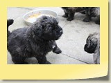 foto112