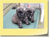 foto172