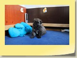 Foto34